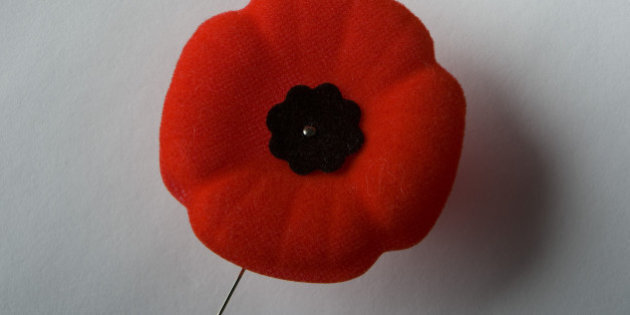 remembrance poppy pin on news