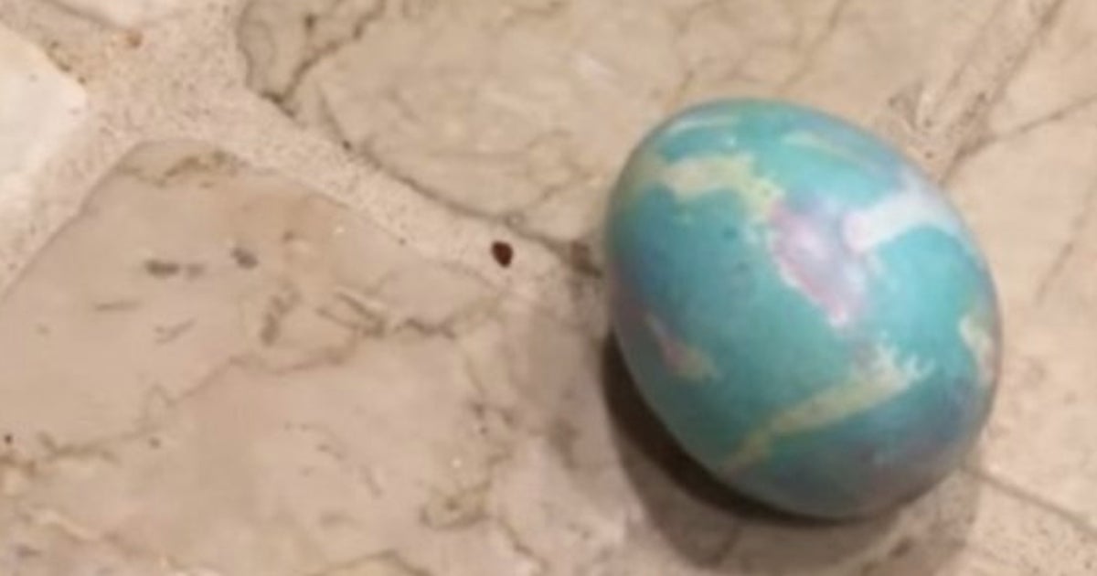 This Is What Happens When You Leave An Easter Egg Hiding For 9 Years