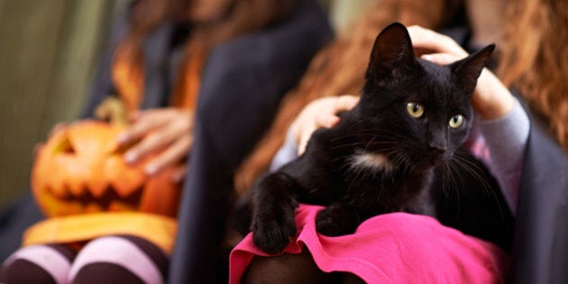 Black kitten sitting on the lap of little girl celebrating Halloween with her friend