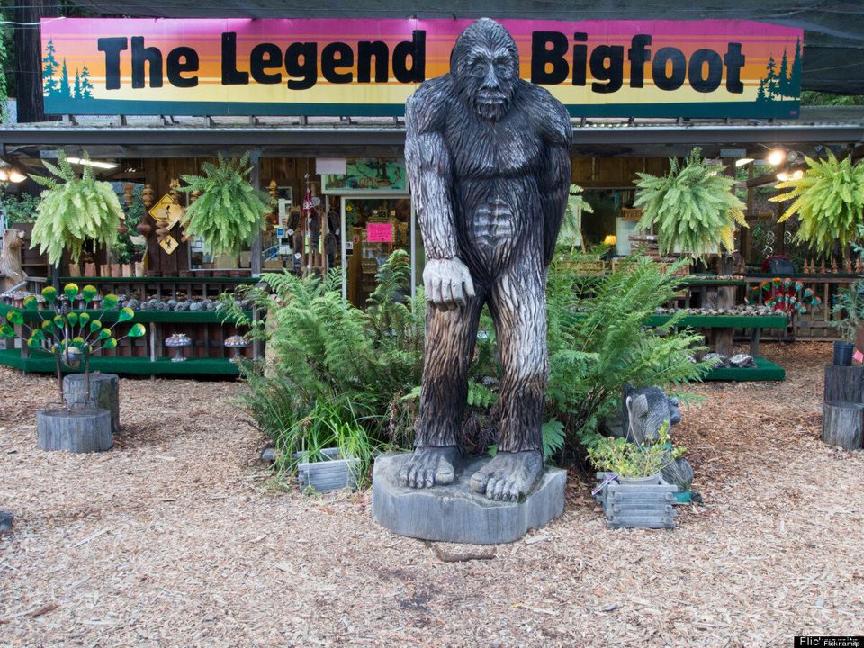 Bigfoot, North America