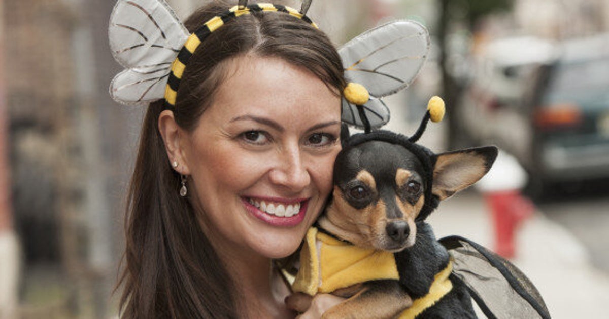 Make Halloween A Howling Good Time For Your Pet HuffPost Life