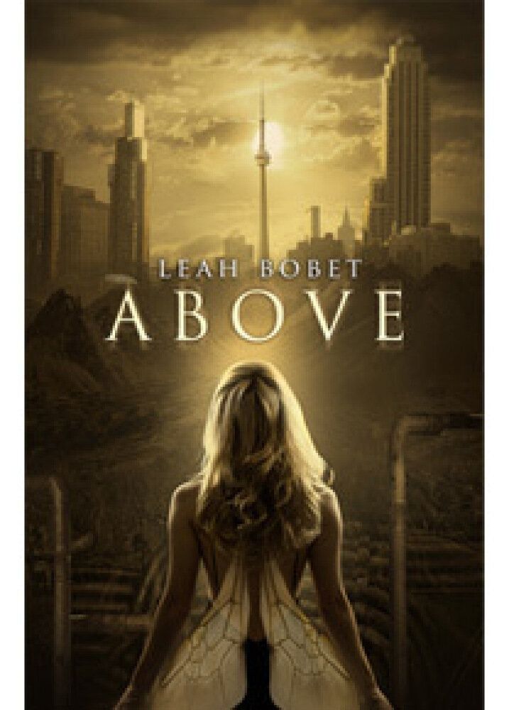 Above By Leah Bobet