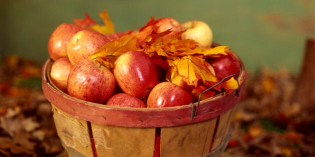 Basket of apples