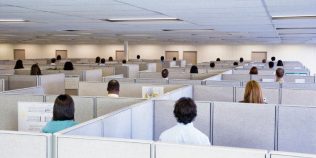 Large group of office workers, each standing in own cubicle, elevated view, rear view