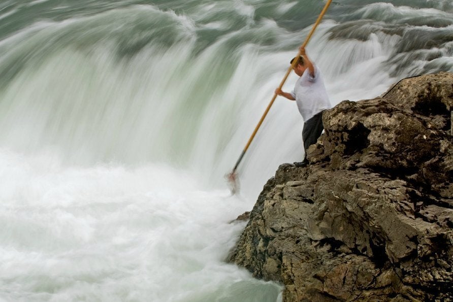 Wet'suwet'en fisherman gaffing salmon in the Bulkley River