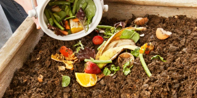 Pouring food scraps into a compost pile.