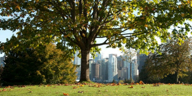 The downtown Vancouver skyline peaks through the fauna of neighbouring Stanley Park.