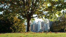 Going From Grey To Green: 9 Tips For Cities In