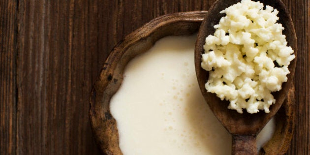 Milk kefir grains on a wooden spoon overhead shoot