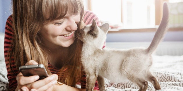 Young woman with phone gets cuddles from kitten.