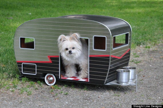 Trailers cheap for dogs