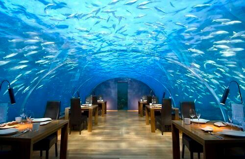 #1 Ithaa Undersea Restaurant