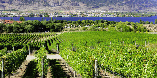 Okanagan Valley Named Among Best Wine Regions To Visit IN THE WORLD ...