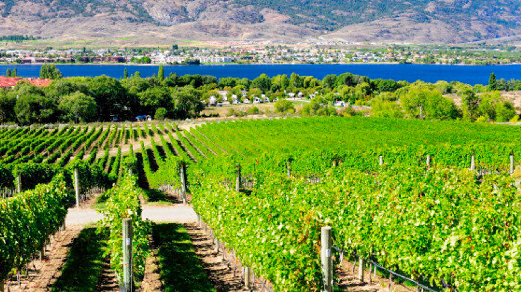 okanagan valley wine tour packages