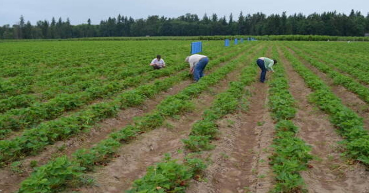 How Much B.C. Farmland Will Actually Be Protected? HuffPost British