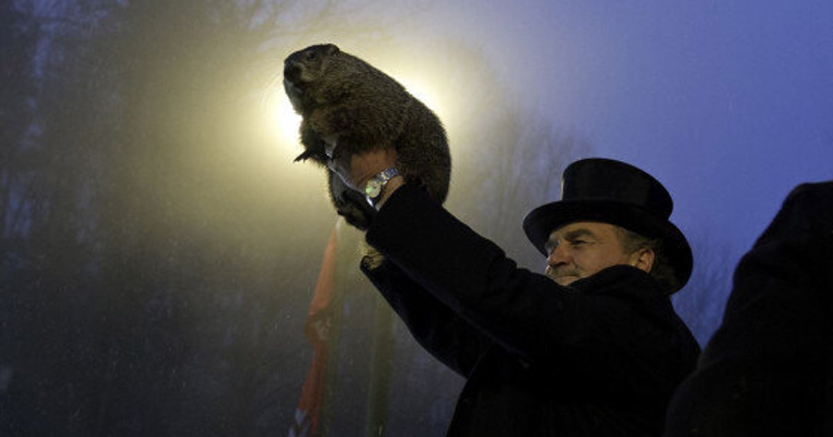 groundhog day shubenacadie sam