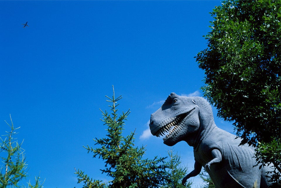 The Calgary Zoo