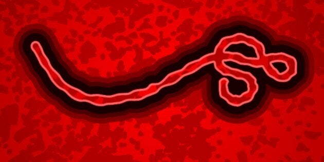 Ebola Is a Controllable