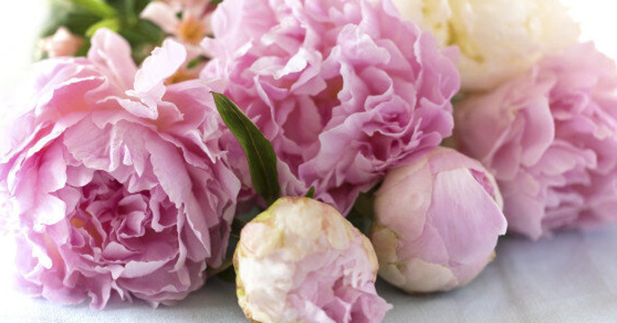 Best Toronto Flower Delivery Will Get You Valentine's Day Bouquets On