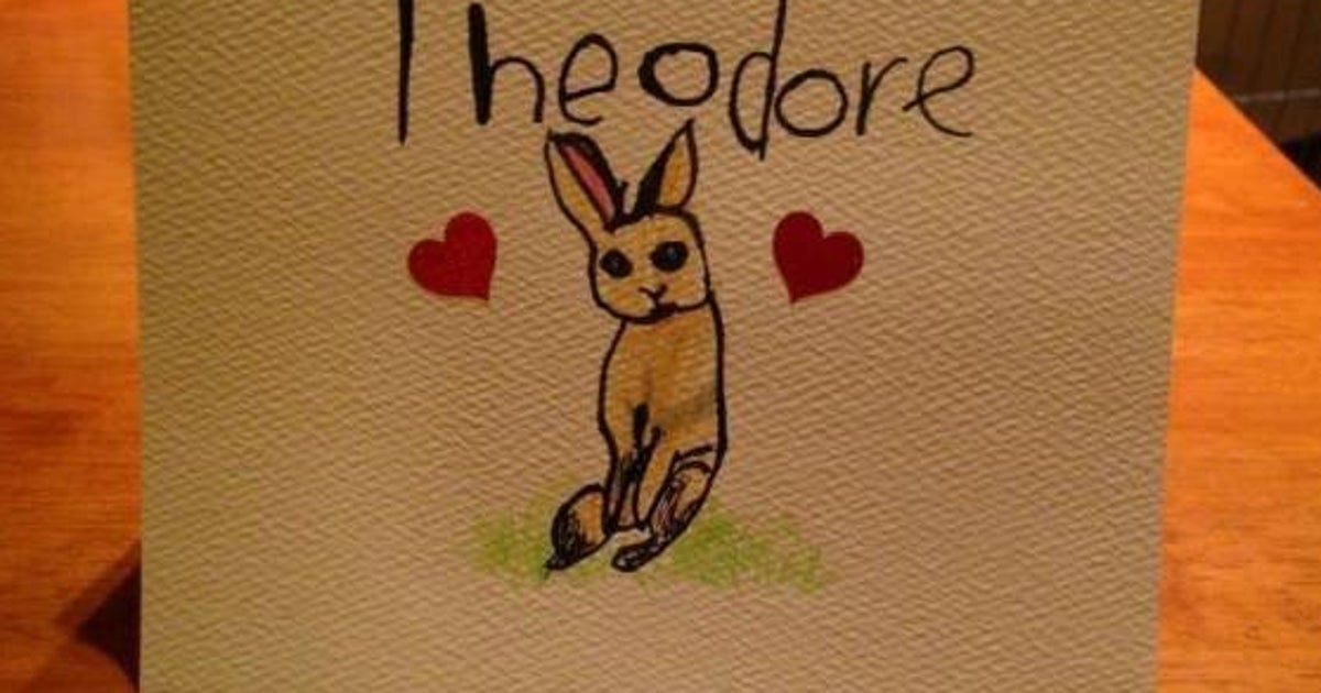 Isabel Hebert Pet Portraits Raise Money For Small Animal Rescue Society Of BC HuffPost British