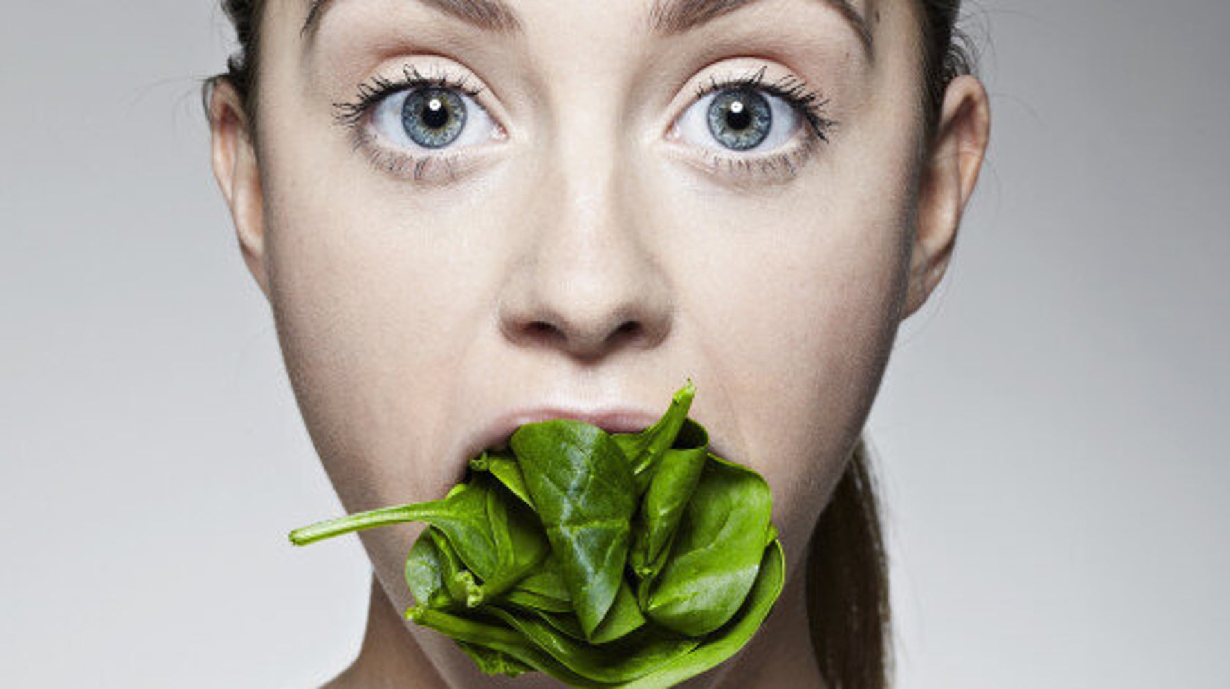 Plants Can Hear Themselves Being Chewed, Study Finds HuffPost Life