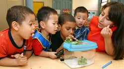 A Kindergarten Student Told Me Teachers Are 'Lazy,