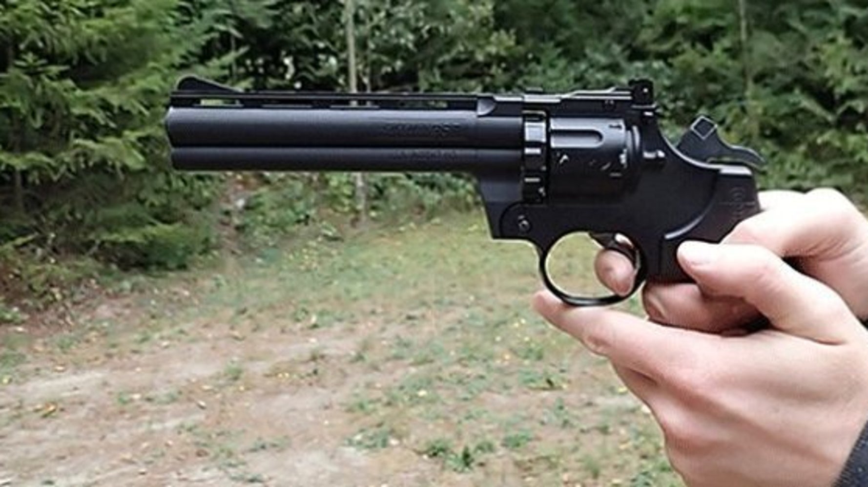 Boy Struck By Pellet Gun While Drunk Dad Shoots Pigeons HuffPost