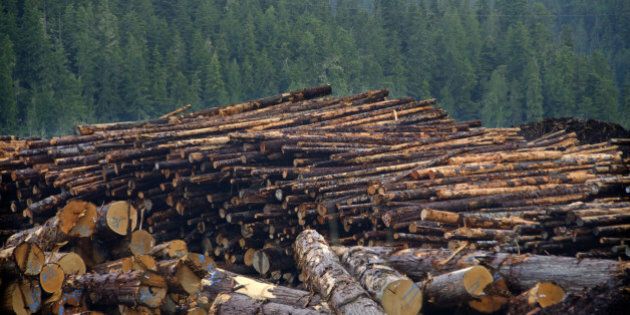 Setting the record straight on deforestation in Canada - John