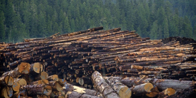 Setting the record straight on deforestation in Canada - John