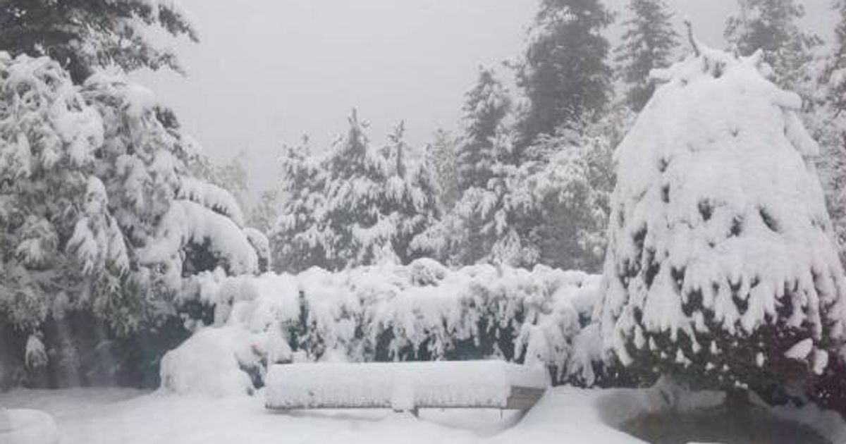 First Snowfall Of The Season Hits Grande Cache, Calgary, Edmonton