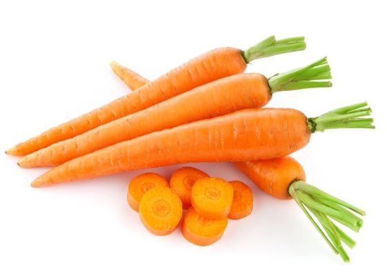 do carrots constipate dogs