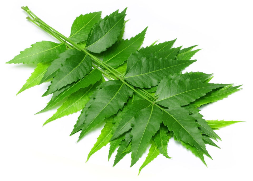 Neem Leaves