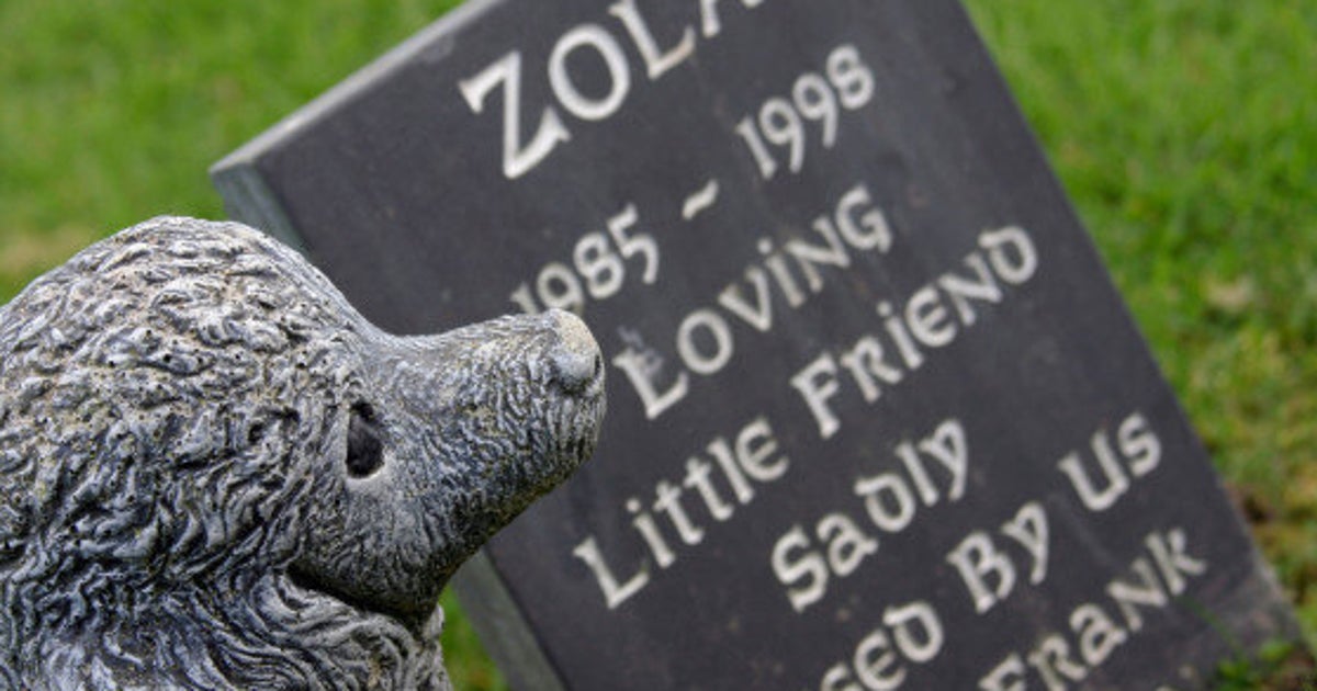 Pet Death How To Talk To Your Children About Losing A Pet HuffPost Life