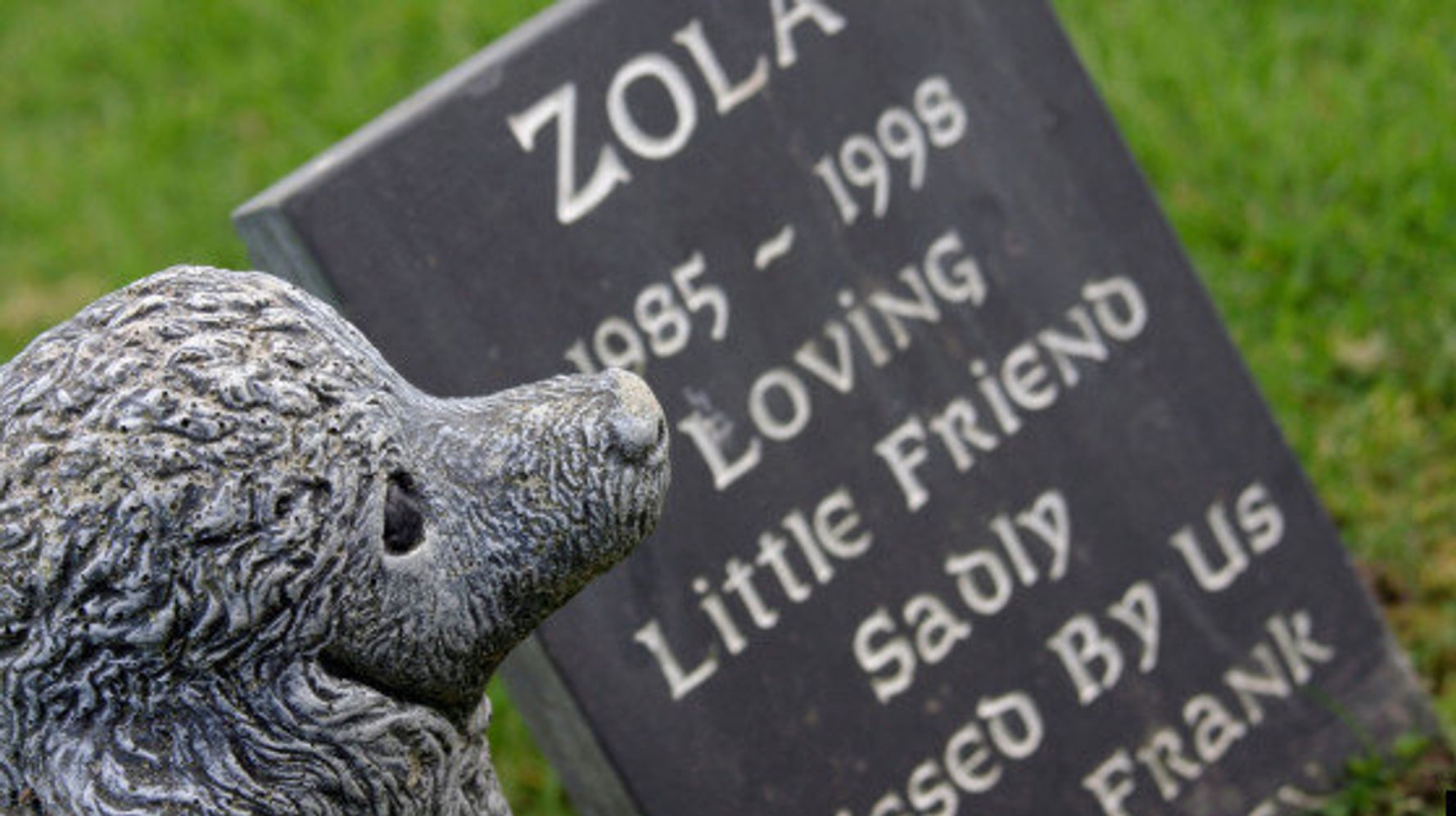 Pet Death How To Talk To Your Children About Losing A Pet