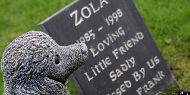 Pet Death: How To Talk To Your Children About Losing A Pet | HuffPost