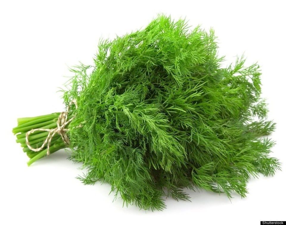 Fresh Dill