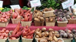 Scrumptious BC Spring Recipes to Treat Your