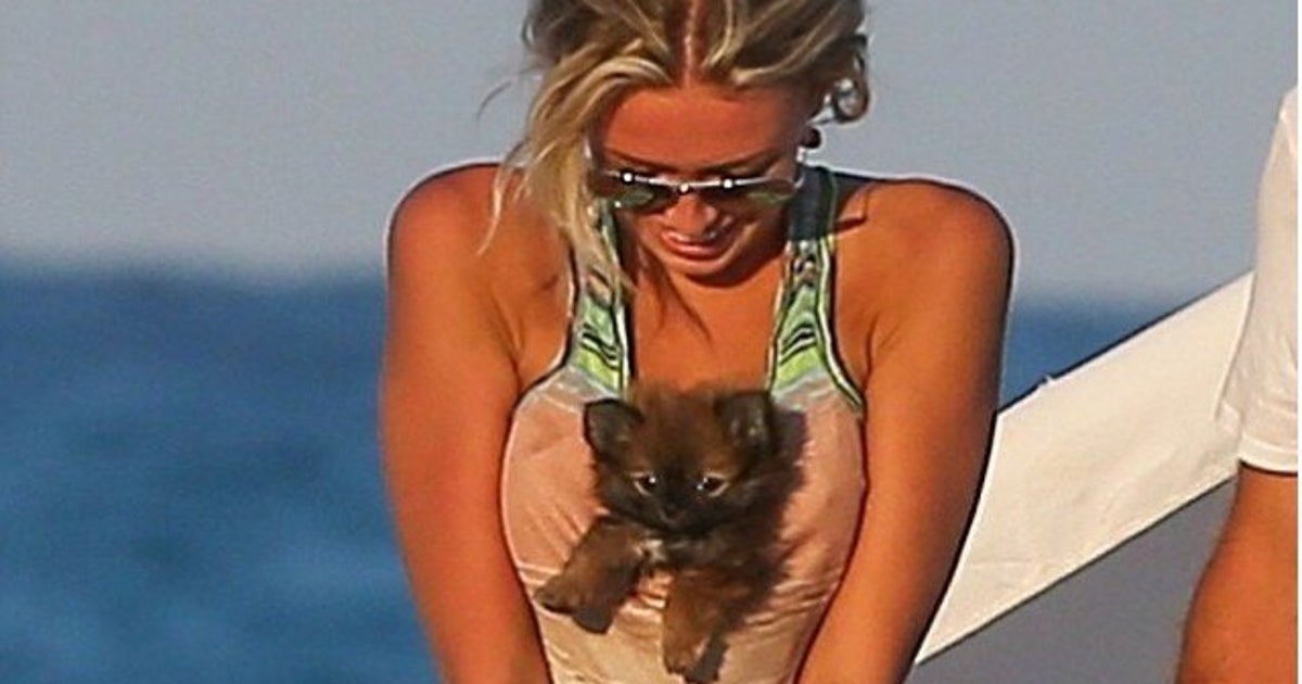 Paulina Gretzky's Boobs Carry Puppy In Miami (PHOTOS) HuffPost Style