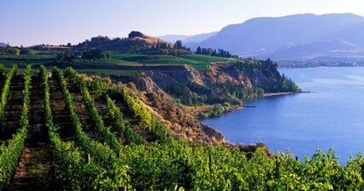 Naramata: Best of the Bench | HuffPost British Columbia