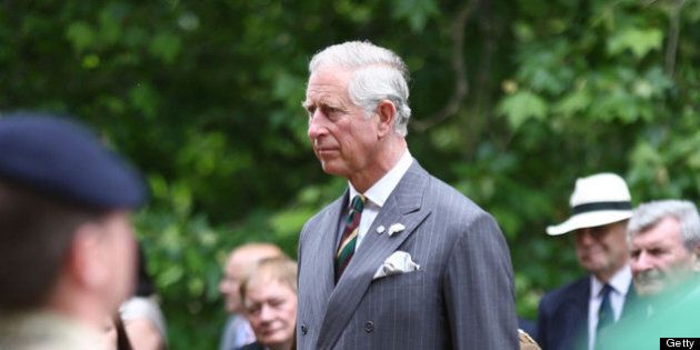LONDON, ENGLAND - JUNE 27: Prince Charles, Prince of Wales takes a royal salute after presenting Operational service medals to the servicemen of the Royal Dragoon Guards at Clarence House on June 27, 2013 in London, England. (Photo by Tim P. Whitby - WPA Pool/Getty Images)