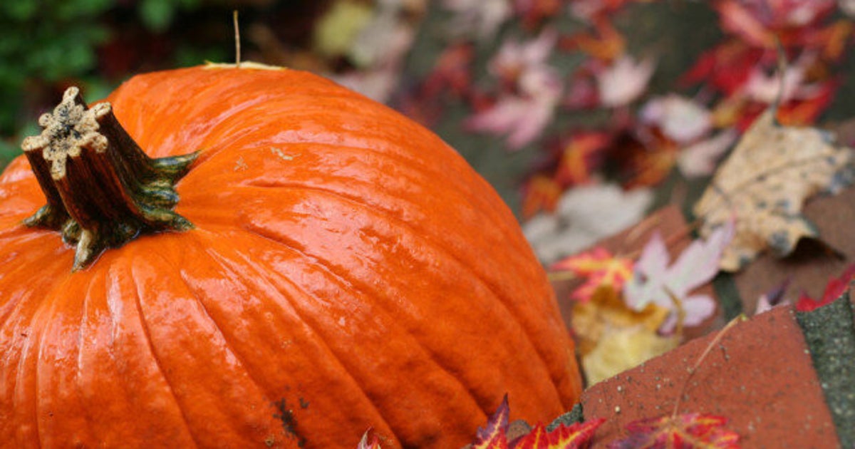 SaveHalloween What To Do If Sandy Rains Out Halloween In Ontario