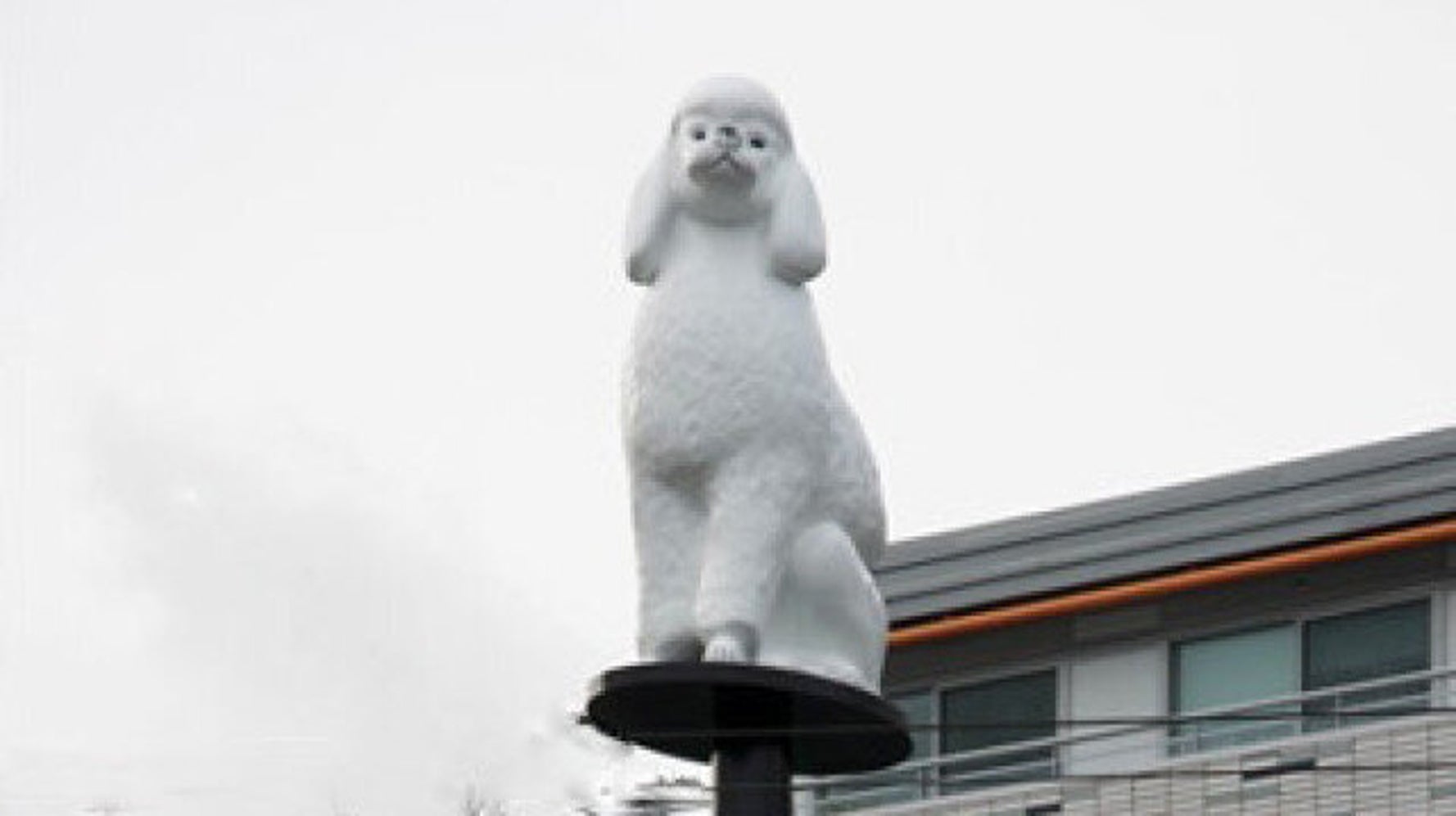 Main Street Poodle Vancouver Art Installation Gets Mixed Reviews Huffpost Canada British Columbia