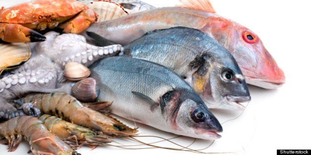 fresh catch of fish and other...