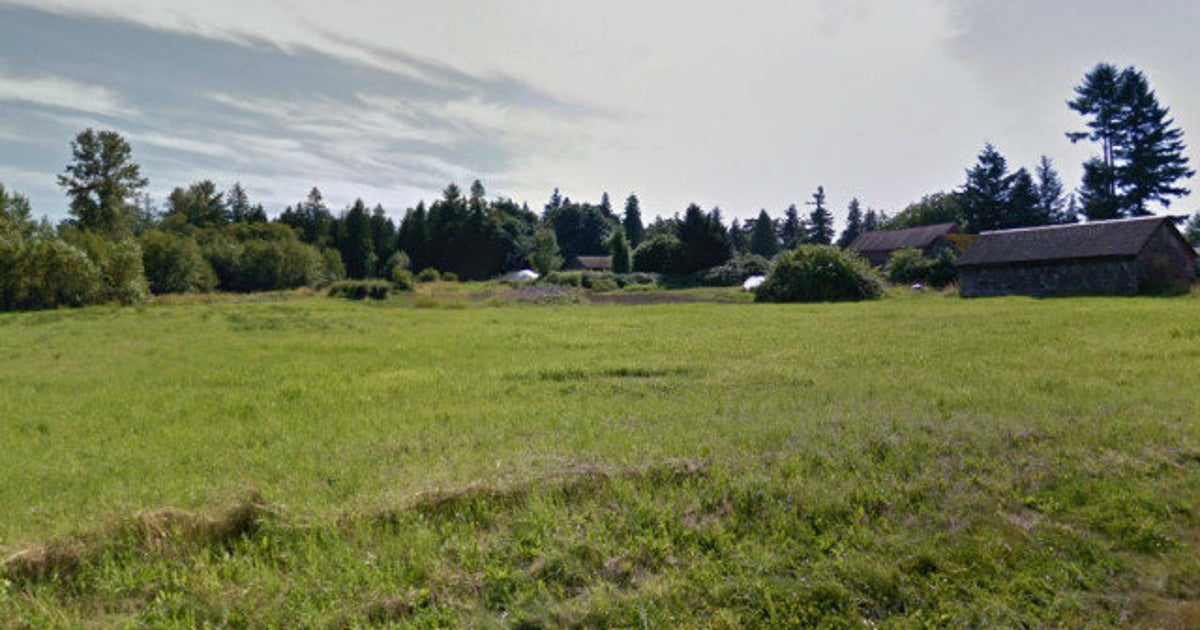Olivia Peters' Letter Saves Surrey Forest | HuffPost Canada