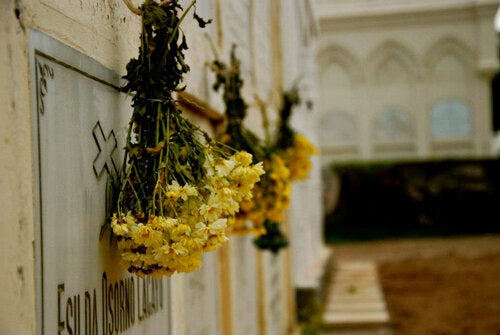 Cemetery