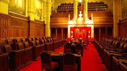 I Love Being a Senator, but My Heart Is in