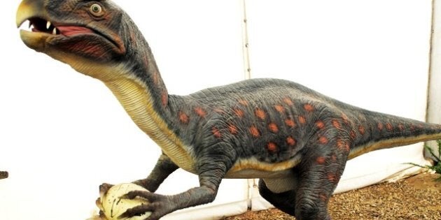 42.132923 | 8.817211 | description 1 Dinosaurios Park, Oviraptor | date 2012-06-09 | source | author HombreDHojalata | permission | other_ ...