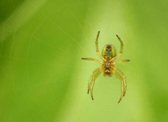 My Nightmare Is Hearing About Your Dream | HuffPost News