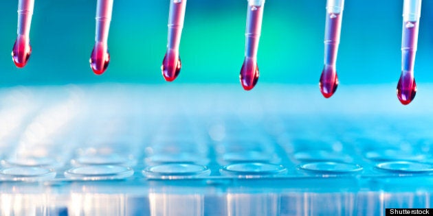 dna analysis loading reaction...