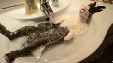 5cd8463f21000059007e689a.jpeg?ops=368_20